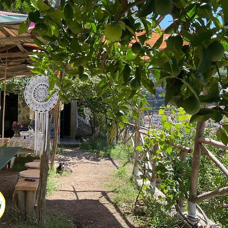 Cetara Camping Amalfitan Coast Hotel Exterior foto